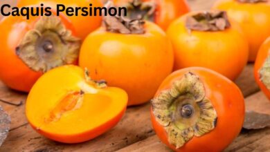 Caquis Persimon